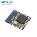 SKYLAB Cheap Long Distance Low Power Consumption Nordic nrf52840 BLE 5.0 Bluetooth Module in shenzhen